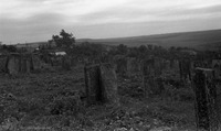 Photograph of: Jewish Cemetery Darabani.