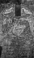 Photograph of: Jewish Cemetery Darabani : Tombstone.