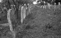 Photograph of: Jewish Cemetery Darabani.