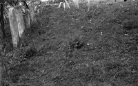 Photograph of: Jewish Cemetery Darabani.