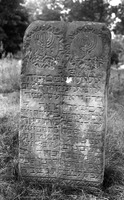 Photograph of: Jewish cemetery in Żelechów.