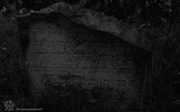 Photograph of: Jewish cemetery in Żelechów.