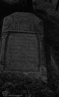 Photograph of: Jewish cemetery in Żelechów.