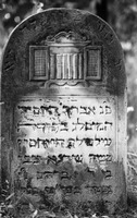Photograph of: Jewish cemetery in Żelechów.