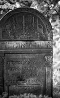 Photograph of: Jewish cemetery in Żelechów.
