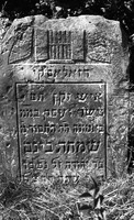 Photograph of: Jewish cemetery in Mszczonów.
