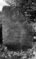 Photograph of: Jewish cemetery in Mszczonów.