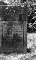 Photograph of: Jewish cemetery in Mszczonów.