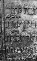 Photograph of: Jewish cemetery in Mszczonów.