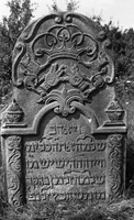 Photograph of: Jewish cemetery in Mszczonów.