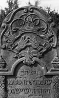 Photograph of: Jewish cemetery in Mszczonów.
