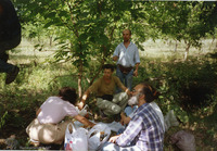 Photograph of: CJA team in Făleşti (Faleshty).