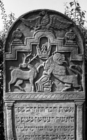 Photograph of: Jewish cemetery in Mszczonów.