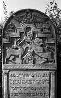 Photograph of: Jewish cemetery in Mszczonów.
