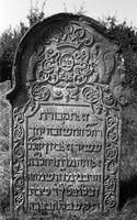 Photograph of: Jewish cemetery in Mszczonów.