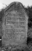 Photograph of: Jewish cemetery in Mszczonów.