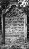 Photograph of: Jewish cemetery in Mszczonów.