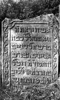 Photograph of: Jewish cemetery in Mszczonów.