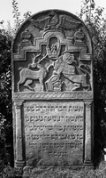 Photograph of: Jewish cemetery in Mszczonów.