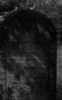 Photograph of: Jewish cemetery in Mińsk Mazowiecki.