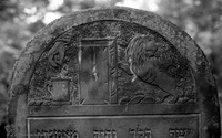 Photograph of: Jewish cemetery in Mińsk Mazowiecki.