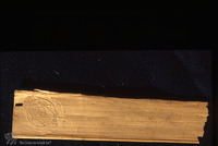Photograph of: Fragments from Orah Hayyim (Shulhan Arukh).