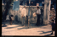 Photograph of: Shaar Ha-shamaim Synagogue in Thane : Poultry slaughter.