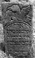 Photograph of: Jewish Cemetery in Lespezi : Tombstone.