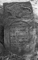 Photograph of: Jewish Cemetery in Lespezi : Tombstone.