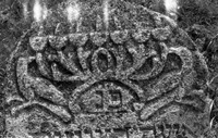 Photograph of: Jewish Cemetery in Mihăileni - photos of 1968 : Tombstone.