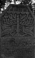 Photograph of: Jewish Cemetery in Mihăileni - photos of 1968 : Tombstone.