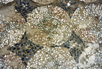 Photograph of: Two synagogues in Stobi.