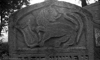 Photograph of: Jewish Cemetery in Mihăileni - photos of 1968 : Tombstone.