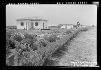 רסקו, מגשימים.