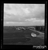 רסקו, מגשימים.