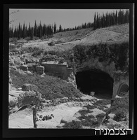 שייח' אבריק.