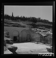 שייח' אבריק.