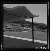 שייח' אבריק.