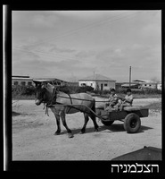 רסקו, משגב דב.