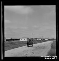 רסקו, משגב דב.