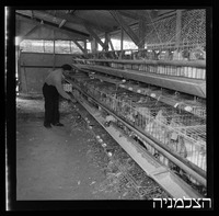 רסקו, יד רמב"ם.