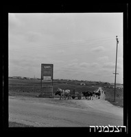 רסקו, יד רמב"ם.