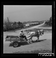 רסקו, בני ציון.