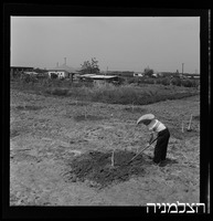 רסקו, בצרה.
