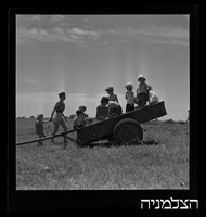 כפר מרדכי, נוסד בשנת 1950.