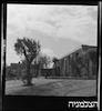 פרסום רן - המוזיאון לתולדות תל אביב-יפו – הספרייה הלאומית