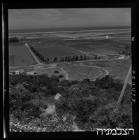 מעיין צבי.