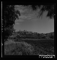 שפרעם.