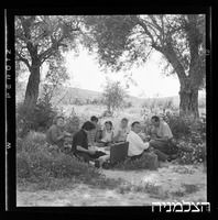 פיקניק, ציפורי.