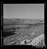 פיקניק, ציפורי.